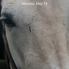tleigh44